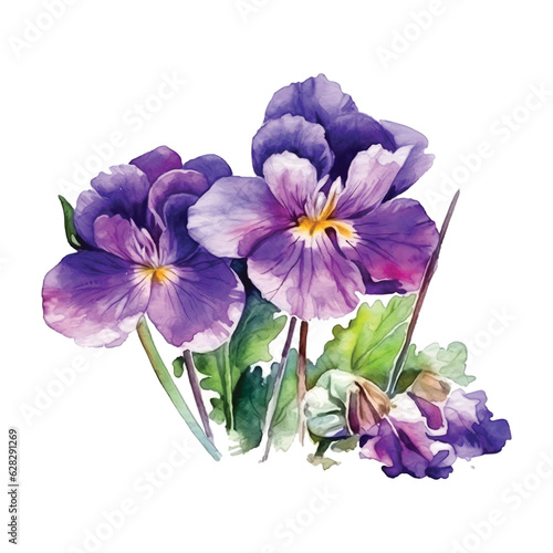 Violet flowers watercolor paint