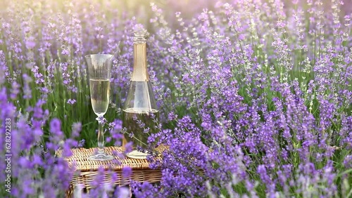 Delicious champagne over lavender flowers field. Violet flowers on the background.