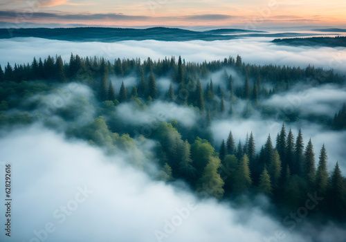 Aerial view of misty forest in the morning. Beautiful nature landscape. Generative AI. © Anton Dios