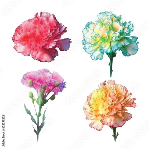 Set of Carnation watercolor paint 
