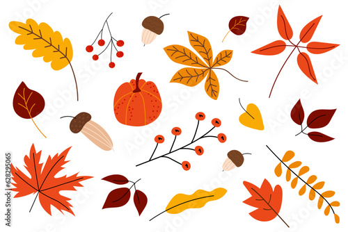 Hand drawn autumn set. Cute cliparts with pumpkin, acorn, oak leaf, maple leaf, rowan. Modern illustrations in flat minimal style. White isolated background.