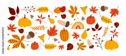 Hand drawn autumn set. Vector fall elements. Leaves, pumpkins, acorn, maple leaves isolated on white background. Banner for seasonal holidays, thanksgiving day 
