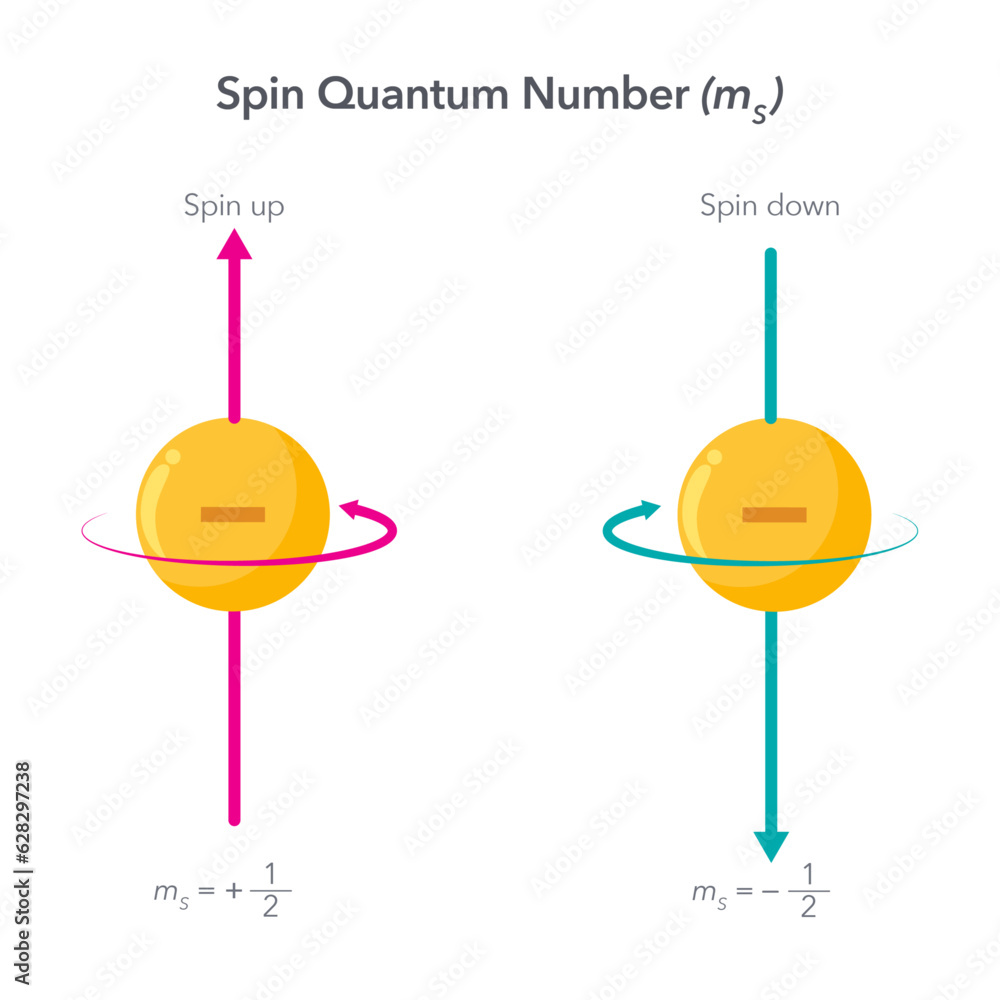 Spin Quantum Number physics vector illustration infographic Stock
