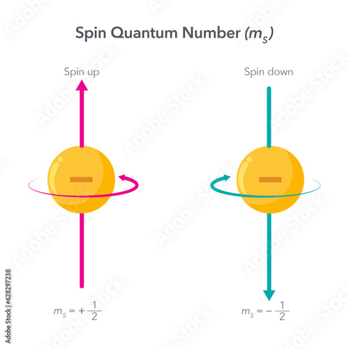 Spin Quantum Number physics vector illustration infographic