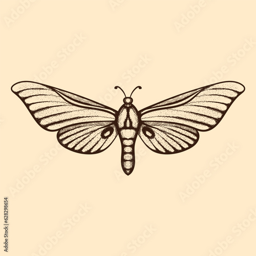 Vector moth, mystic symbol and signs. Witchcraft, occult, alchemical signs. Butterfly moth vintage engraved style