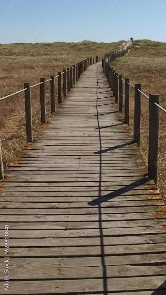 Vertical Video of Walkway on the Beach Vertical Video of Walkway on the Beach