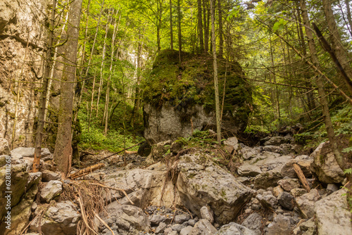 Fototapeta Naklejka Na Ścianę i Meble -  Huciaky valley in Nizke Tatry mountains, Slovakia
