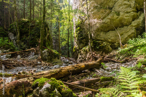 Huciaky gorge in Nizke Tatry mountains  Slovakia