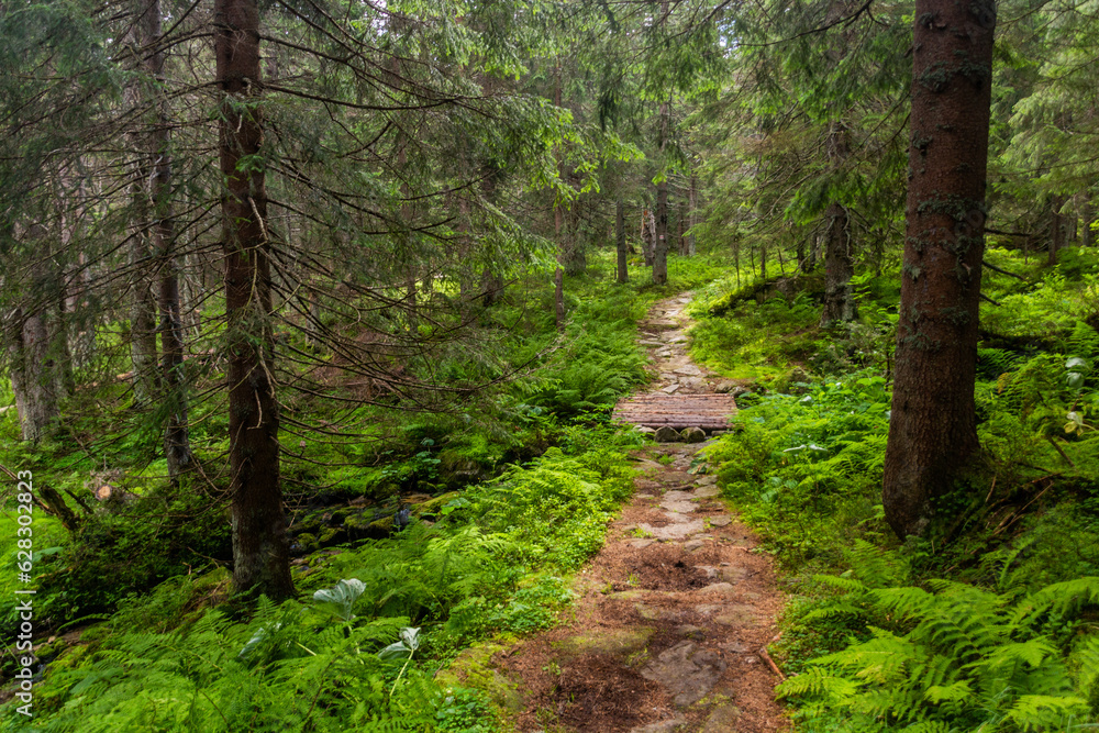 Hiking trail in Nizke Tatry mountains, Slovakia Hiking trail in Nizke Tatry mountains, Slovakia