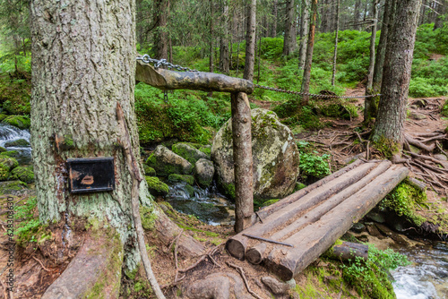 Fototapeta Naklejka Na Ścianę i Meble -  Small bridge on a hiking trail in Nizke Tatry mountains, Slovakia
