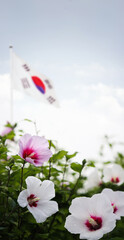 Blue sky and clouds Republic of Korea Taegeukgi and Mugunghwa flower and Samiljeol and Liberation Day, Constitution Day and Hangeul Day and Memorial Day Korean national holidays background
