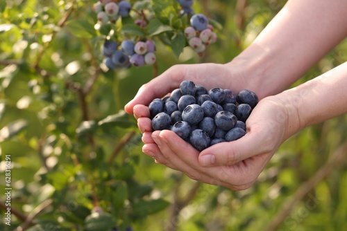 Woman holding heap of wild blueberries outdoors, closeup and space for text Fototapeta