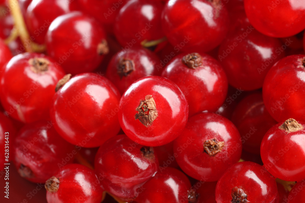Many tasty fresh red currants as background, closeup Many tasty fresh red currants as background, closeup