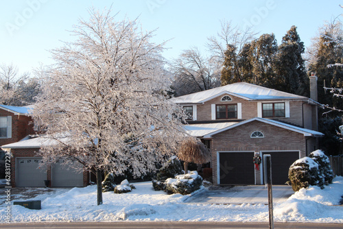 Photography a frozen tree covered in ice on the front lawn of a residential home with snow b
