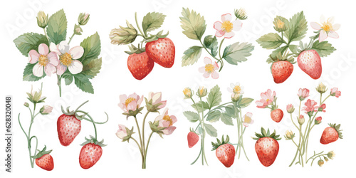 Watercolor Strawberry clipart for graphic resources