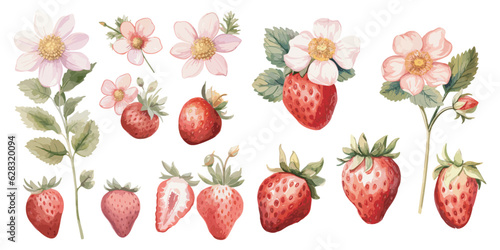 Watercolor Strawberry clipart for graphic resources