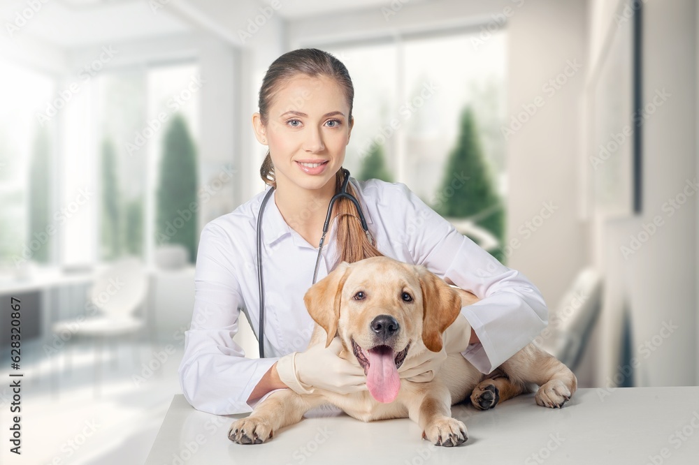 Vet doctor examining cute smart dog in clinic, AI generated image