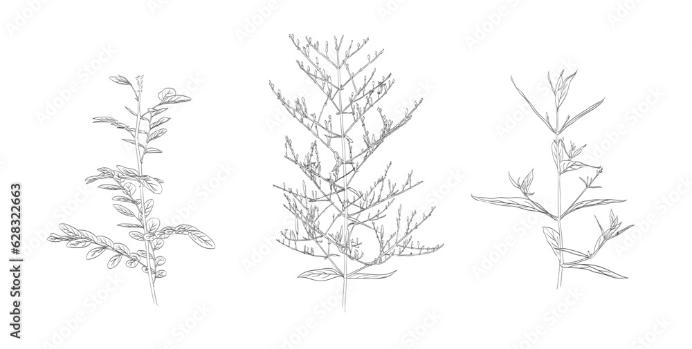 Set of hand drawn branch of flower with Japanese pattern vector. Oriental decoration with logo design, flyer or presentation in vintage style Set of hand drawn branch of flower with Japanese pattern vector. Oriental decoration with logo design, flyer or presentation in vintage style