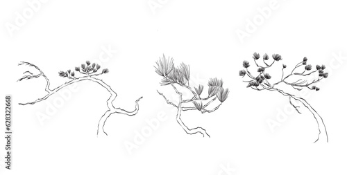 Floral branch. Hand drawn line wedding herb, plant and monogram with elegant leaves for invitation save the date card design. Botanical rustic trendy greenery vector. flower vector bundle