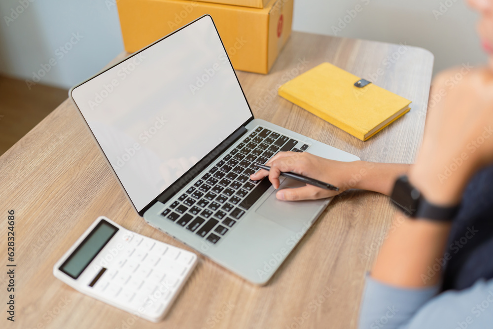 Women working with a laptop in living room on white screen Women working with a laptop in living room on white screen