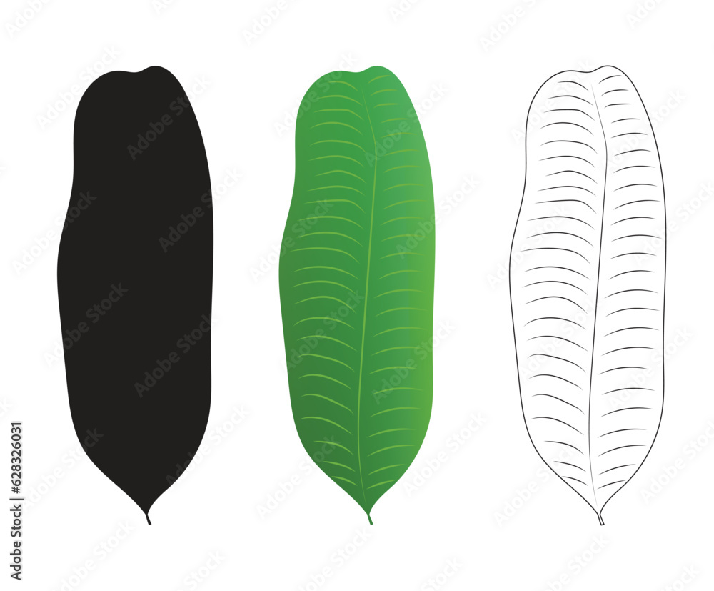 isolated banana plant leaves vector illustrations with line art isolated banana plant leaves vector illustrations with line art