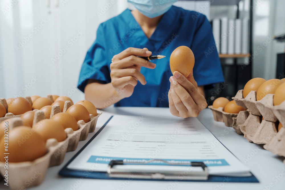 Lab test worker Quality control Optimum Chicken Egg Quality
