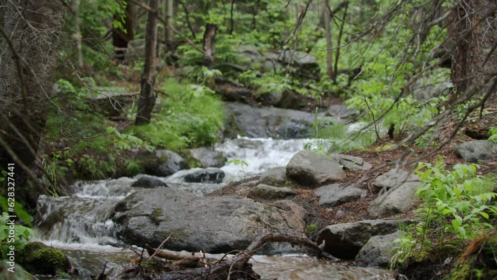 Fresh water streams over falls in the woods of North Saint Vrain Creek in the Rocky Mountain National Park, Colorado, USA. Locked tele shot Fresh water streams over falls in the woods of North Saint Vrain Creek in the Rocky Mountain National Park, Colorado, USA. Locked tele shot