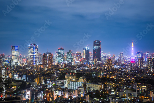東京の夜景 © YUKI