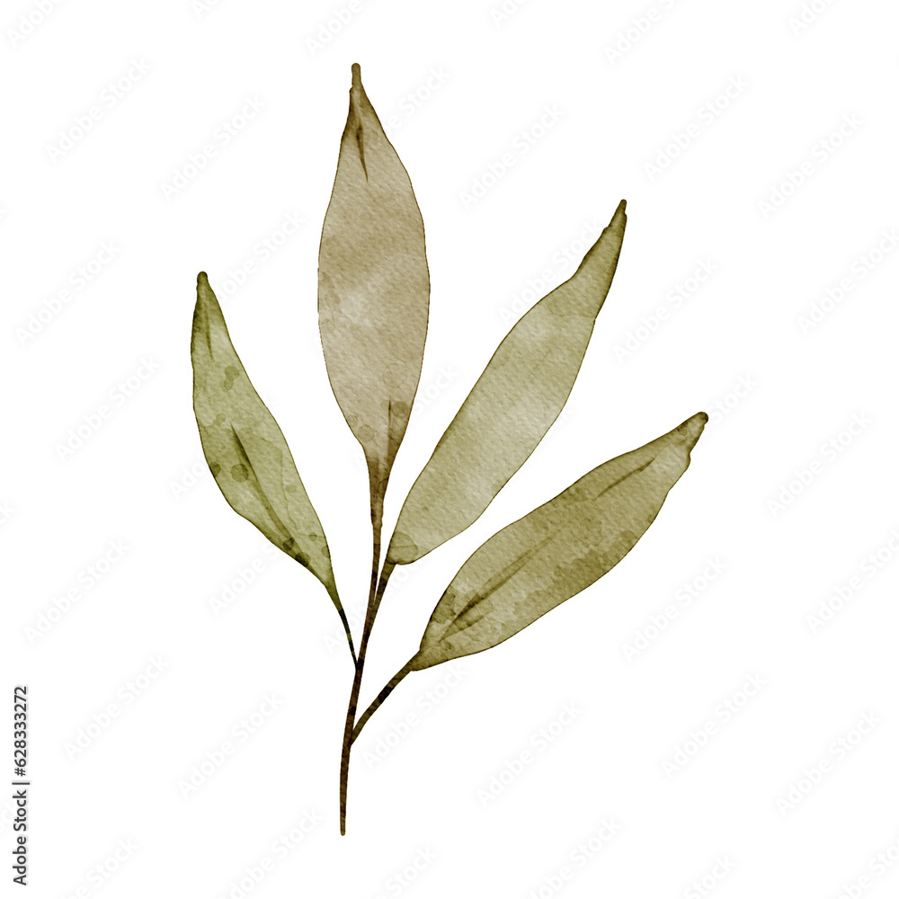 Obraz premium Watercolor Green Leaf Element
