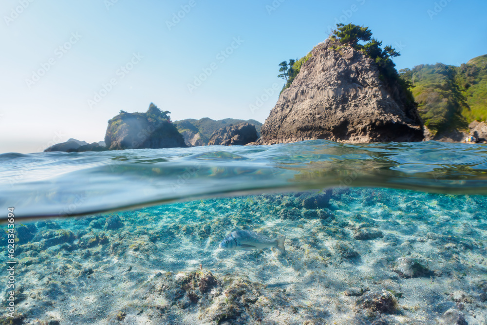 Obraz premium 南伊豆ヒリゾ浜の綺麗な半水面撮影