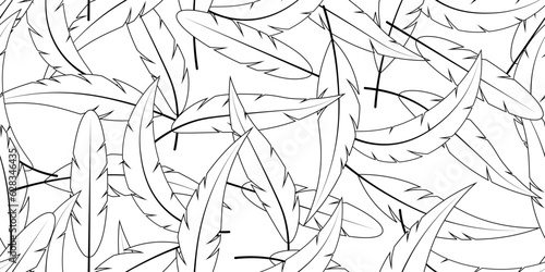 black white outline feather seamless pattern