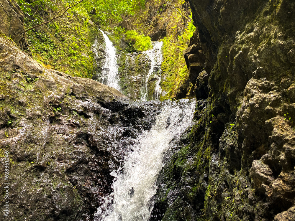 Obraz premium waterfall in the forest