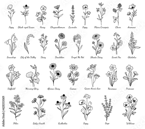 Minimal Wildflower Set, Minimalistic Flowers Doodle, Hand-drawn, Vector Wildflower & Flower Design, For Tattoo, Cricut, Laser Cut, Branding, Wedding