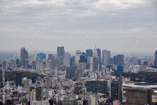 東京新宿方面のビル群