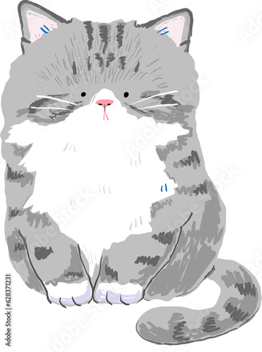 Hand Drawn Cute Cat Character