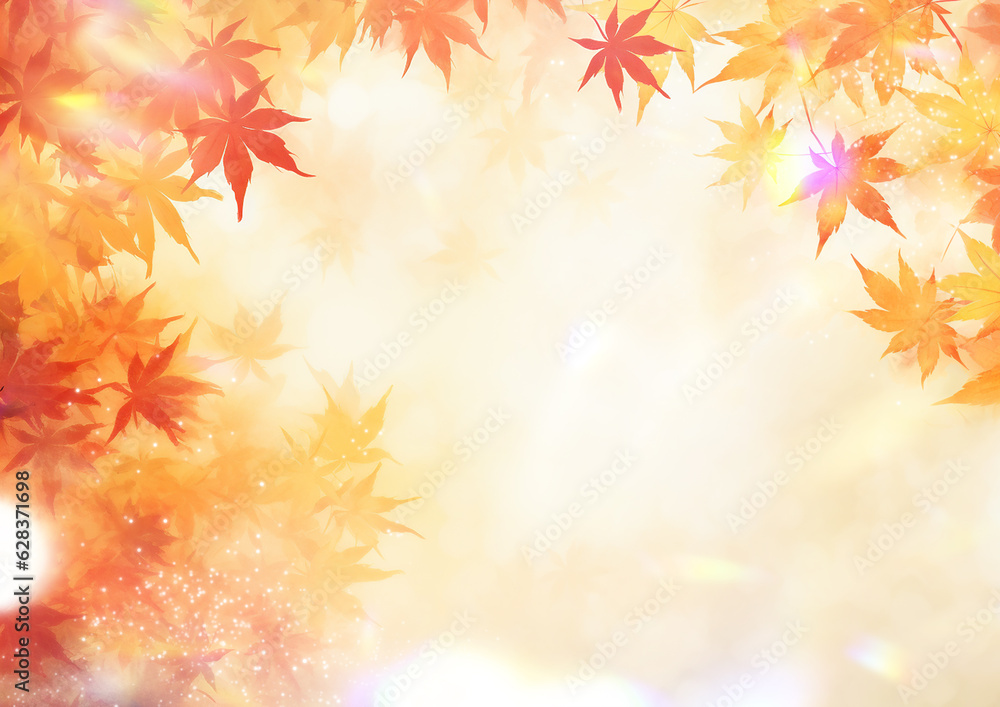 紅葉のフレーム 紅葉のフレーム