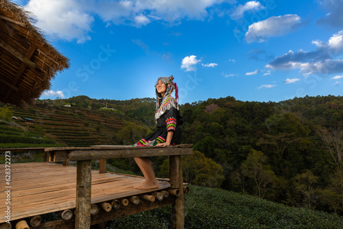 Hill tribe Asian woman in traditional clothes collecting tea leaves with basket in tea plantations terrace, Chiang mai, Thailand collect tea leaves © ND STOCK
