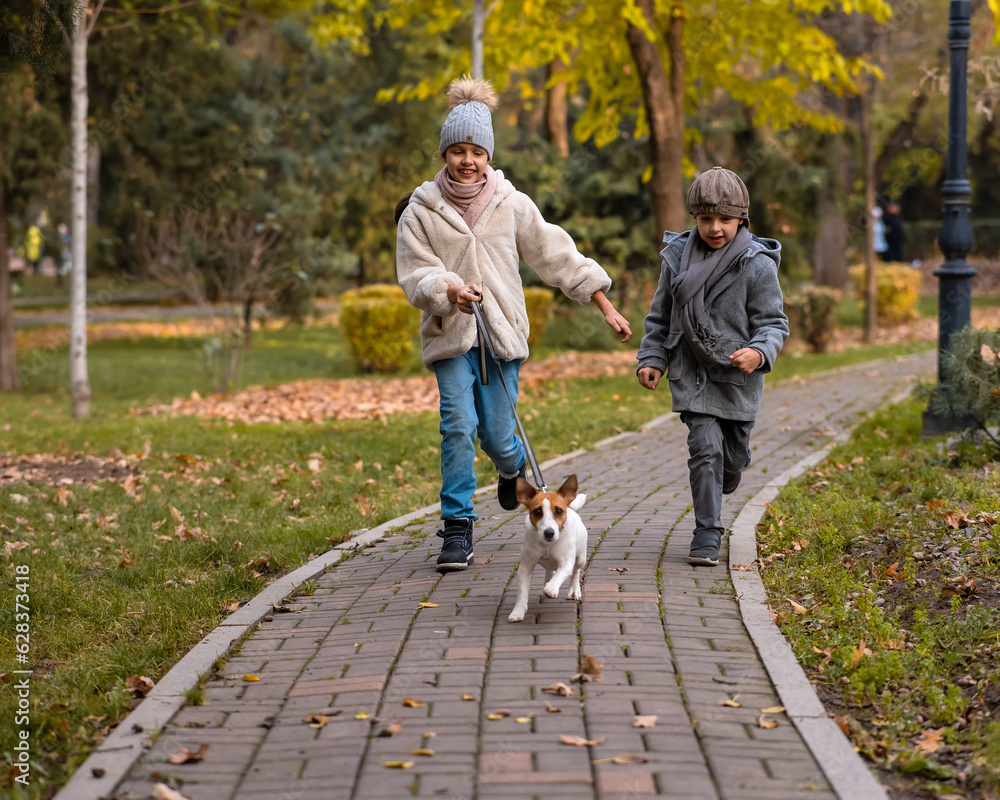 Fototapeta premium Brother and sister walk the dog in the park in autumn. Boy and girl running with jack russell terrier on a leash. 
