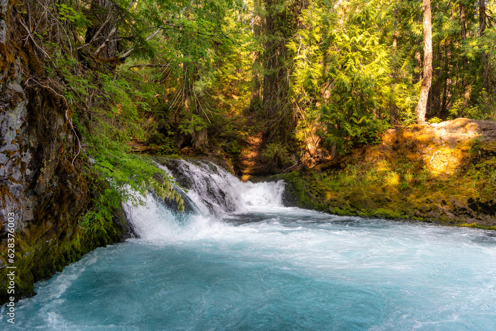 Fototapeta premium Waterfall in Oregon Forest in the Cascades with River and Bridge