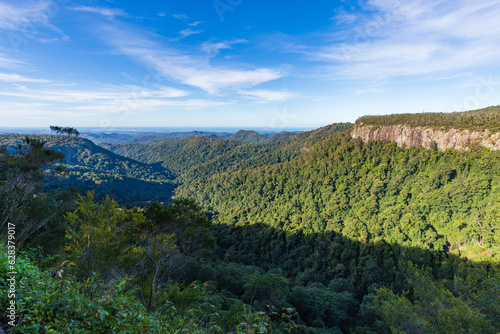 View of mountainside covered with forest and the Gold Coast in distance under blue sky