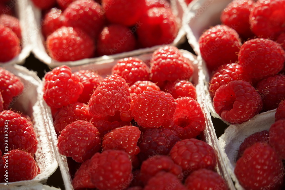 Fresh sweet redraspberries for sale at market, close up. Boxes full of raw raspberries. Fresh sweet redraspberries for sale at market, close up. Boxes full of raw raspberries.