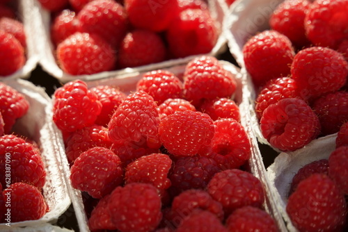 Fresh sweet redraspberries for sale at market  close up. Boxes full of raw raspberries.