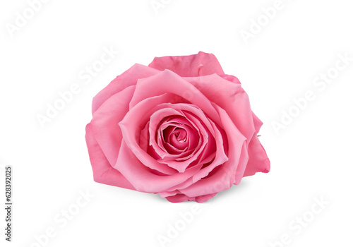 Pink rose isolated on white MADE OF AI