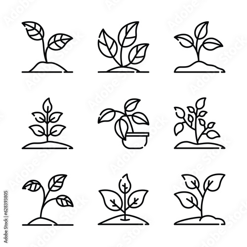 Set of plant line art vector