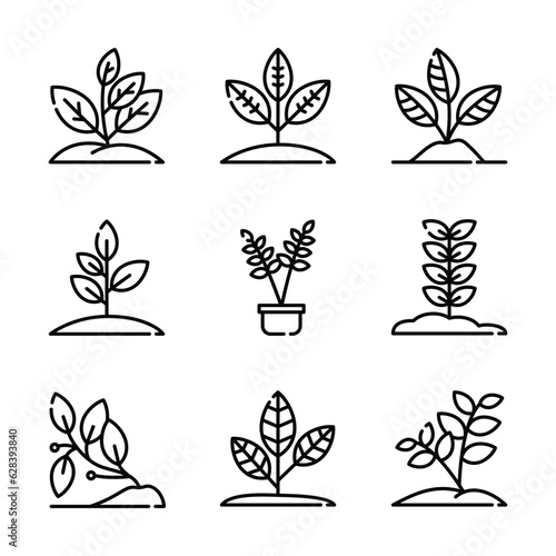Set of plant line art vector