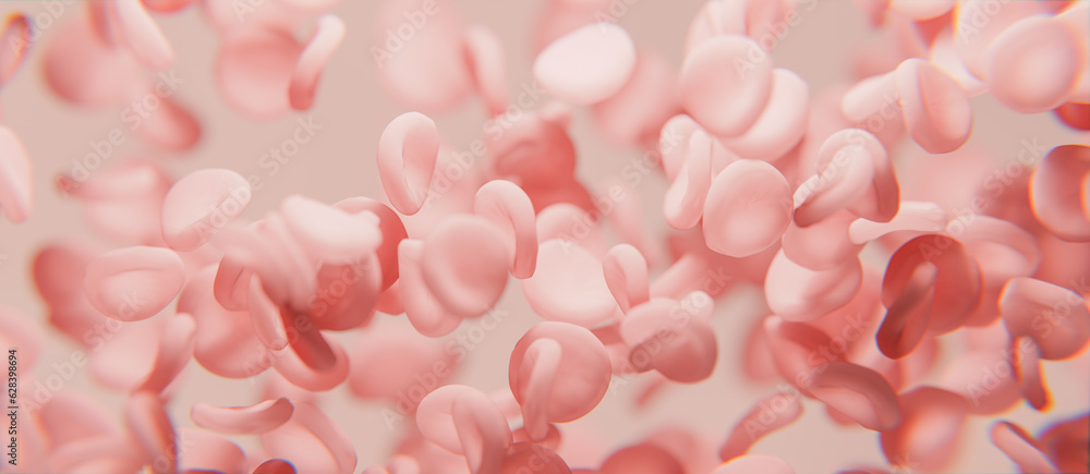 Fototapeta premium View under microscope, blood, red blood cells in living body, Flowing red blood cells, erythrocyte on white background, health care. 3d rendering.