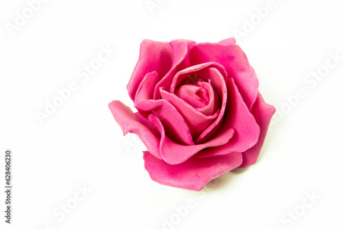pink rose on white background  studio shot  valentine