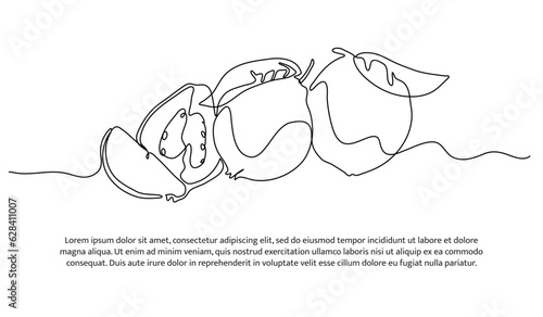 Guava one continuous line design. Fruits symbol design concept. Decorative elements drawn on a white background.