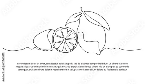 Lemon one continuous line design. Fruits symbol design concept. Decorative elements drawn on a white background.