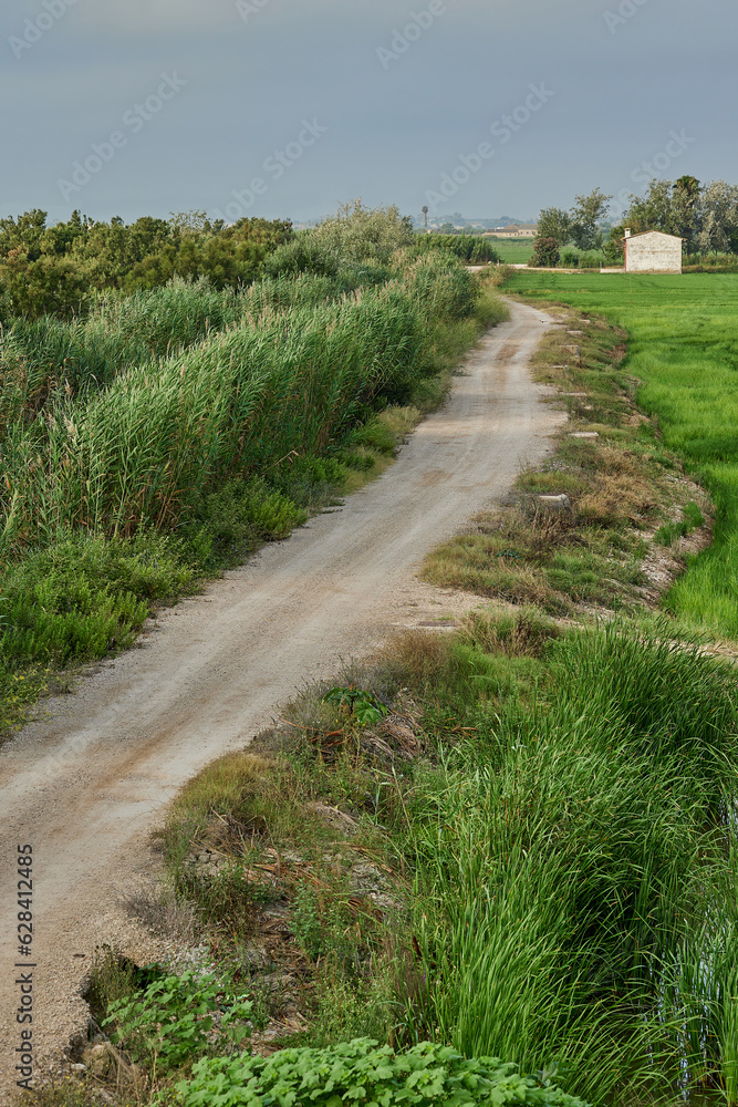 Country road along green farmland natural scenery Country road along green farmland natural scenery